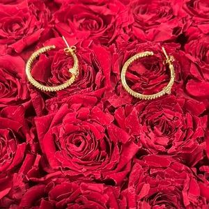 Gold screw style hoops